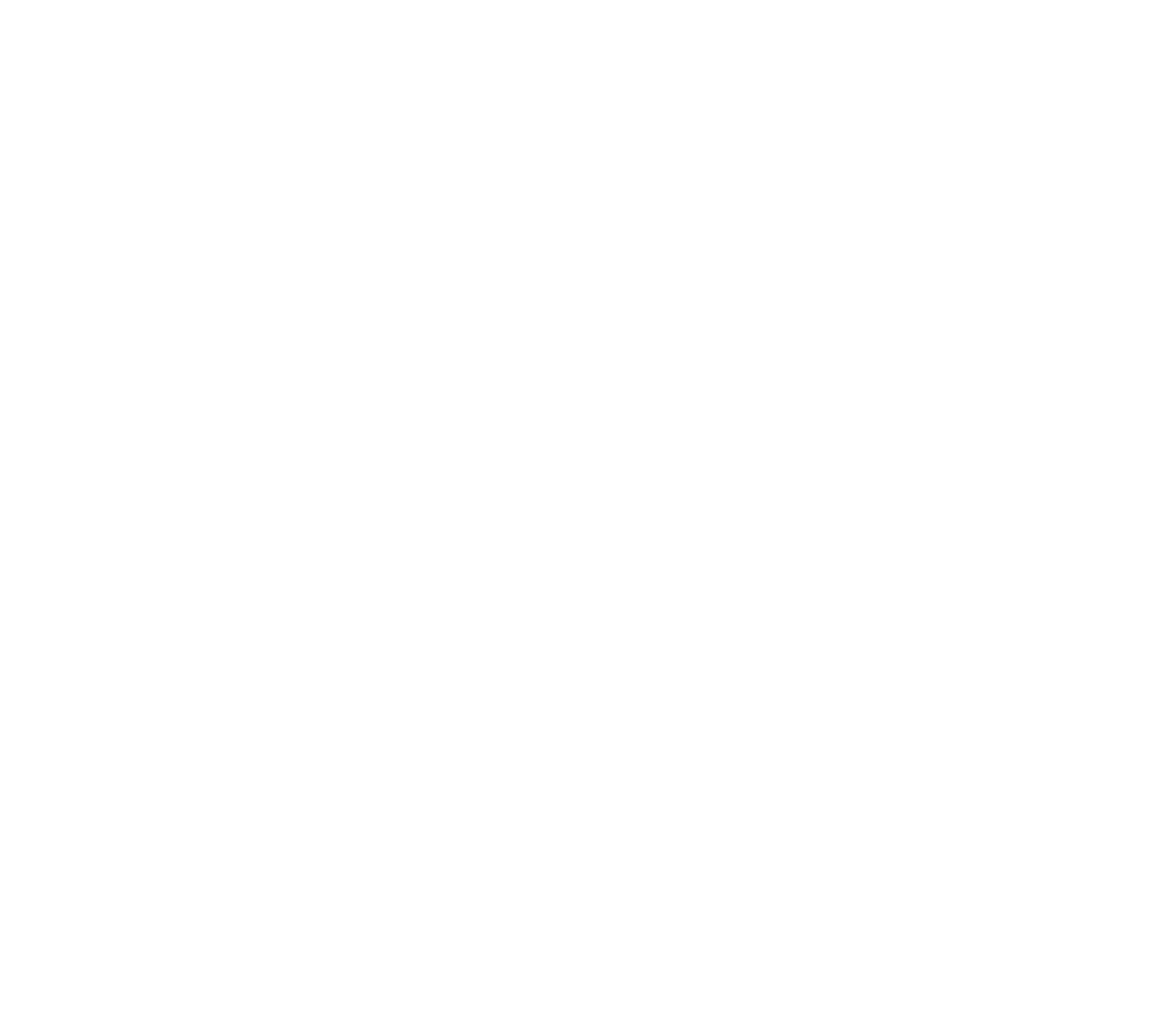 Deep South Fair